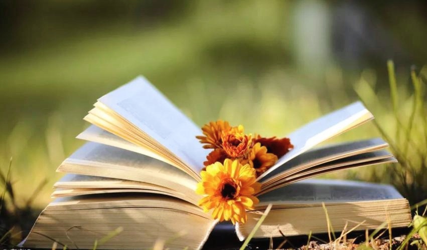 茅塞顿开恍然大悟醍醐灌顶,记住以下六点保证让你茅塞顿开