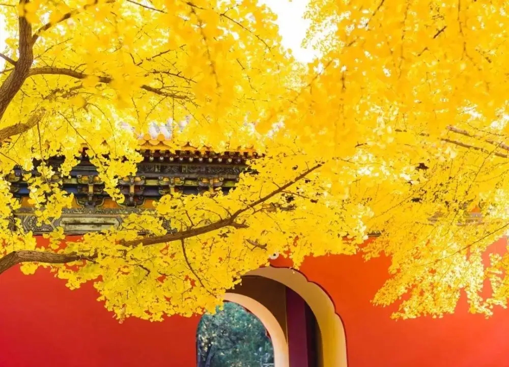 最美的秋天诗词100首,写秋天的绝美诗词大全