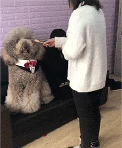 纹身为什么要三思而后行,颈部纹身三思而后行