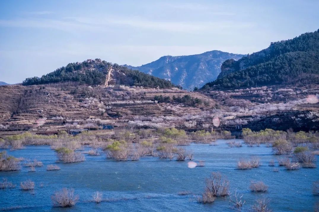 疫情快过去吧，我不想错过这座海滨老城的春天