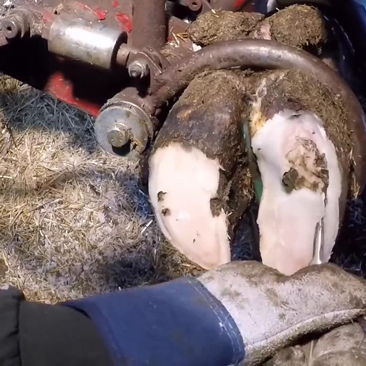 神魔游戏开启,万族争霸,血战神魔!#宝藏小说