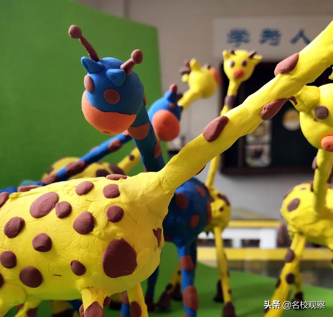 社团百花齐放助力学生全面发展,让每一个学生全面而有个性地发展