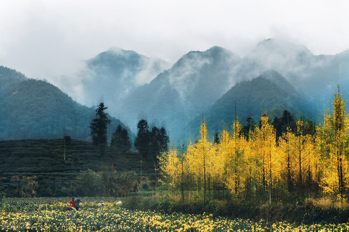 不开心？用古诗词开启小确幸｜《中国诗词公开课》