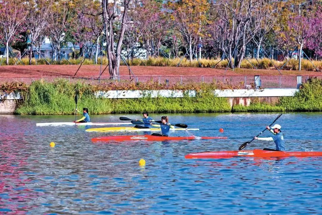 深圳最全红树林公园指南,深圳市最出名红树林湿地公园