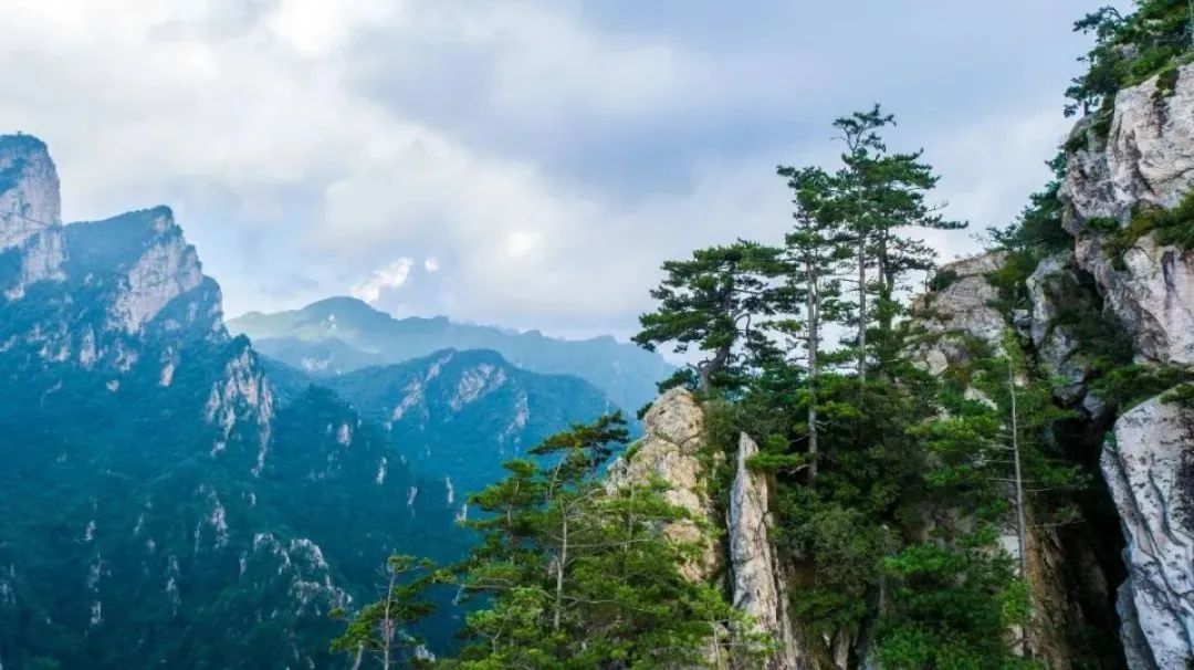 郑州方特半价免票,免票公告