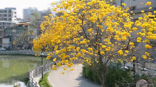 惠州拍照好看的推荐,惠州拍写真的地方推荐