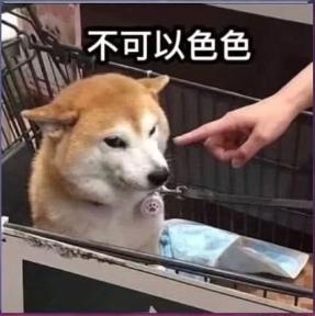 人工智能机器人女朋友,机器人女友人工智能能实现吗