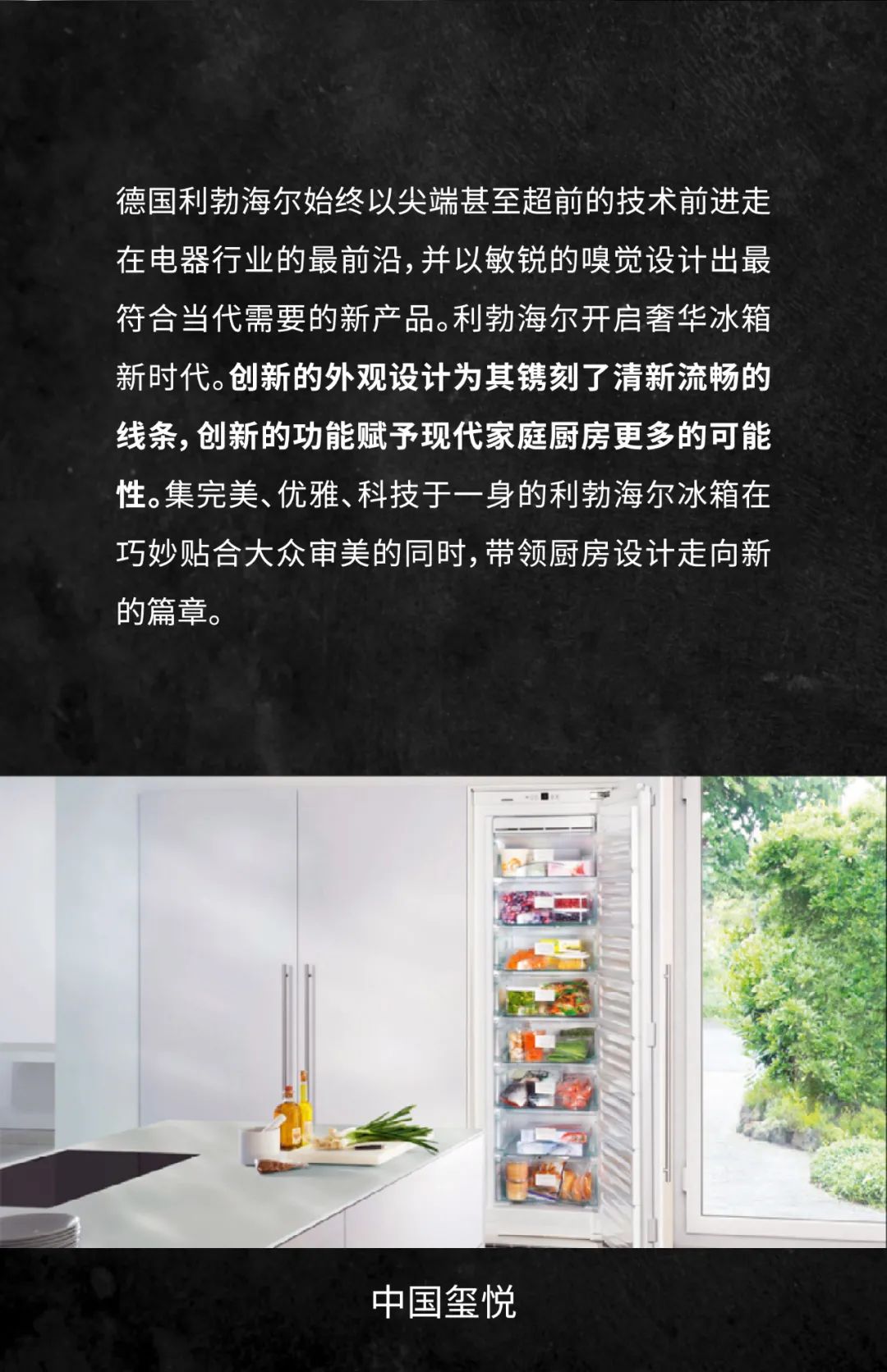 liebherr利勃,liebherr利勃海尔厂家