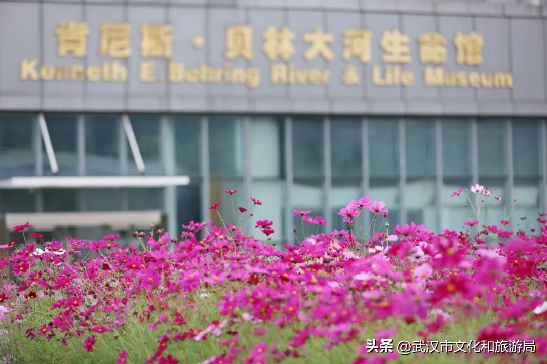 秋天的公园像一幅美丽的油画,园博园油画