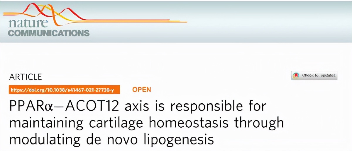 骨关节炎的研究,骨肿瘤课题