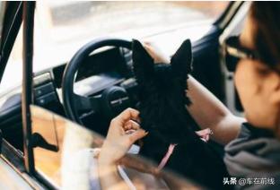 租车抵押哪种情况判刑比较轻,租车抵押诈骗判刑案例