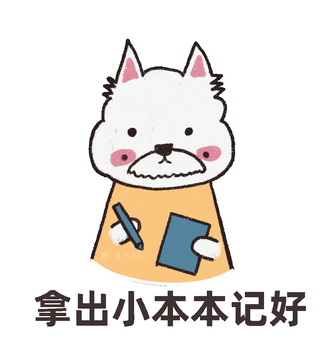 鼓浪屿等景区暑期向全国免费开放,鼓浪屿景区门票优惠政策