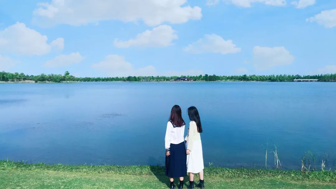 最好的友情是忙时不忧,最好的友情是各自忙碌不常联系