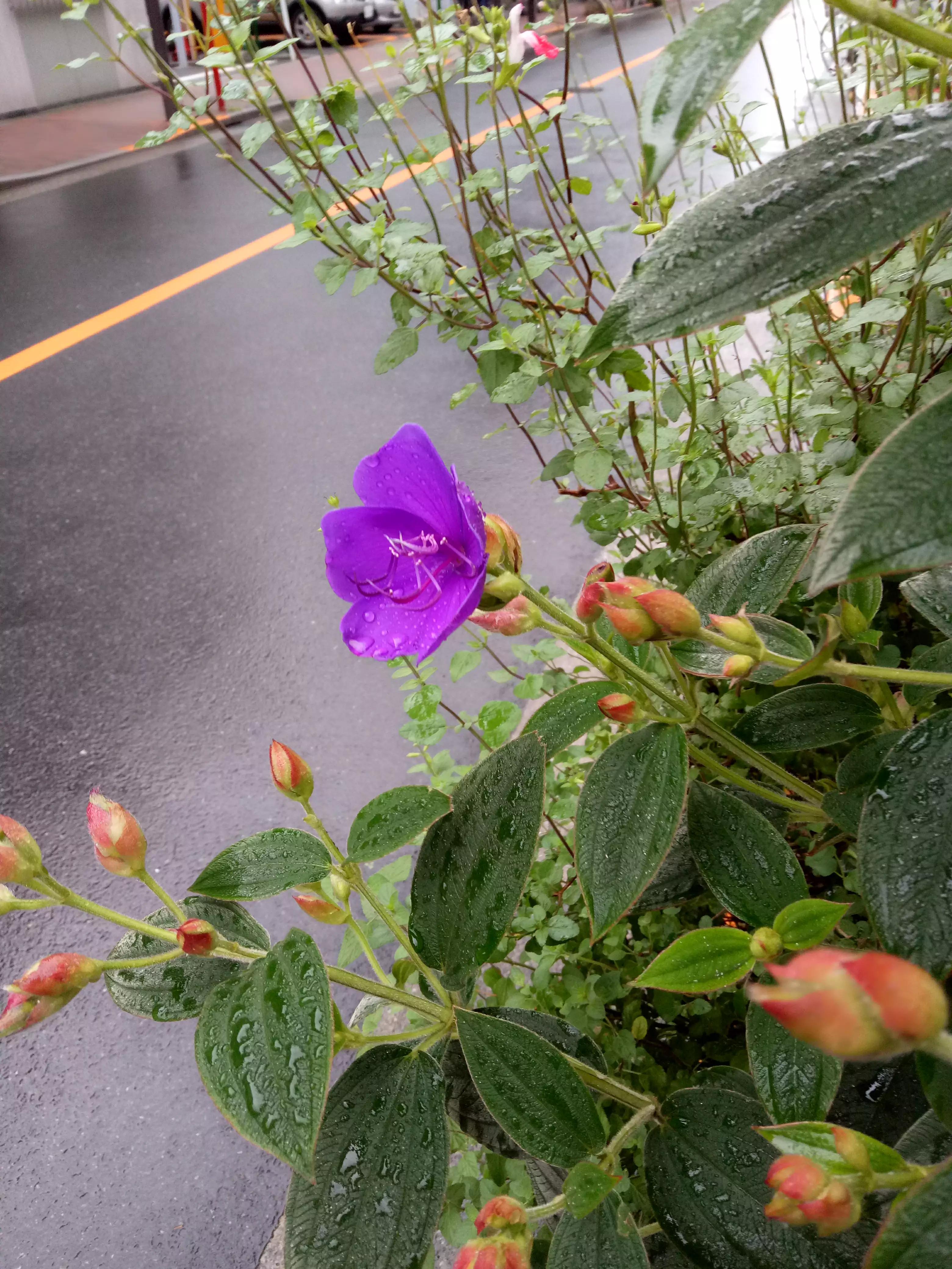 整理一些老照片,手机相册怎么分类整理