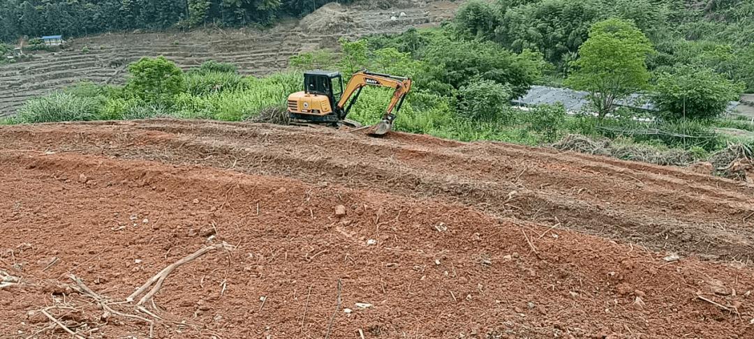 乡镇林地砍伐复耕复种,撂荒耕地必须全部复耕复种