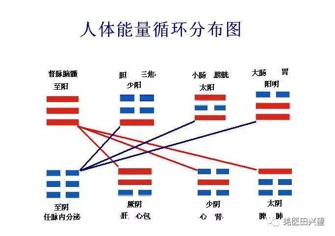 中西医养生保健有哪些区别,中西医的养生保健区别在哪
