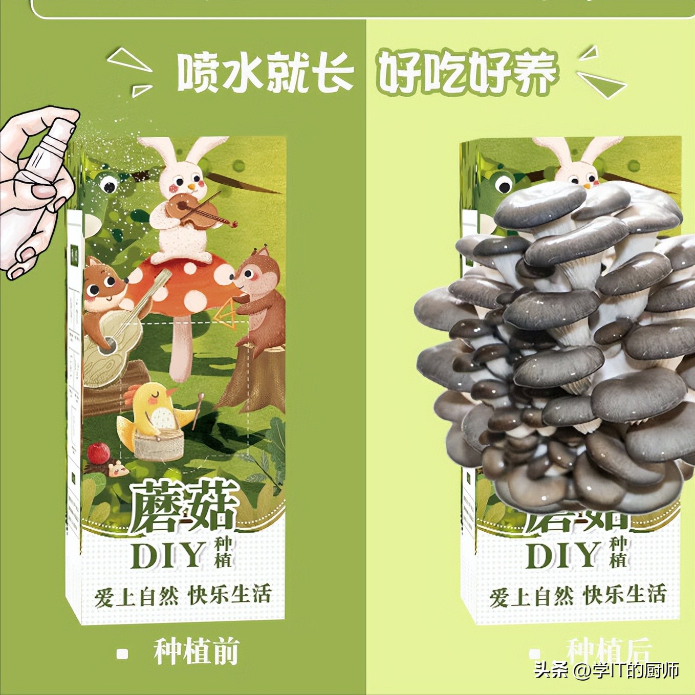 如何解决农村创业销售难题,农村创业失败怎么找商机