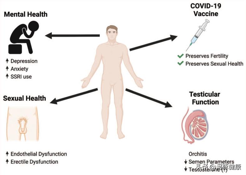男的阳了会怎么样,男的阳了会有什么后遗症