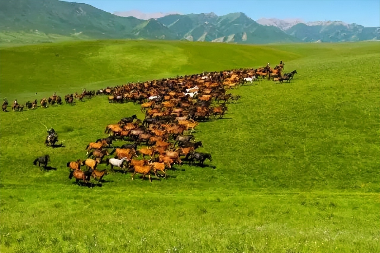 去甘肃旅游最值得去的十大景点 (甘肃16个最值得去的旅游景点)