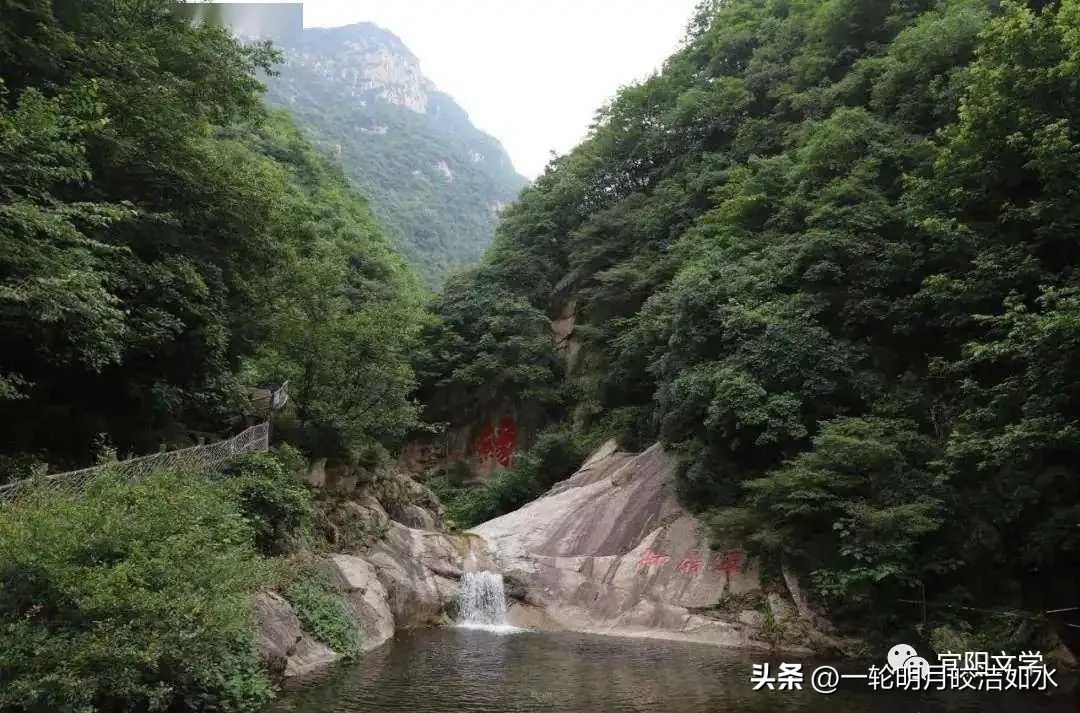 李志敏魏碑小楷,李志敏诸城