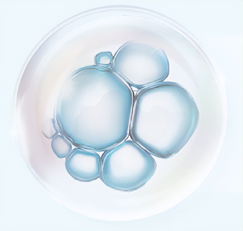 提亮保湿抗老四季面霜,普瑞郎面霜怎么样