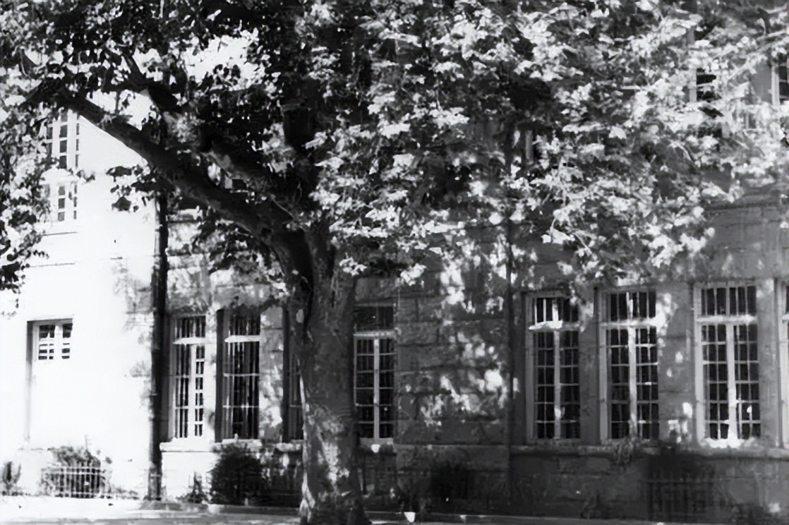 许昌市第九至第二十中学演变：母校，你去哪了？