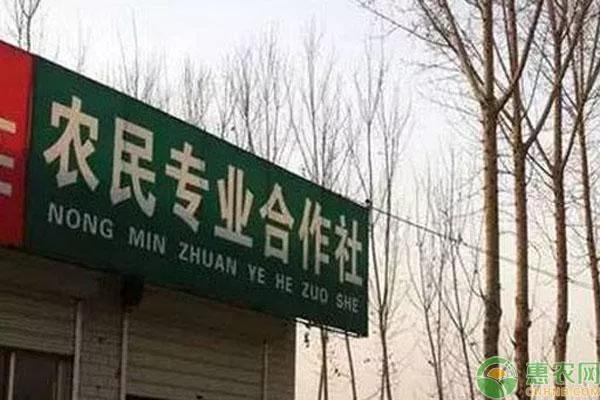 乡村创业前景怎么样,乡村创业如何起步