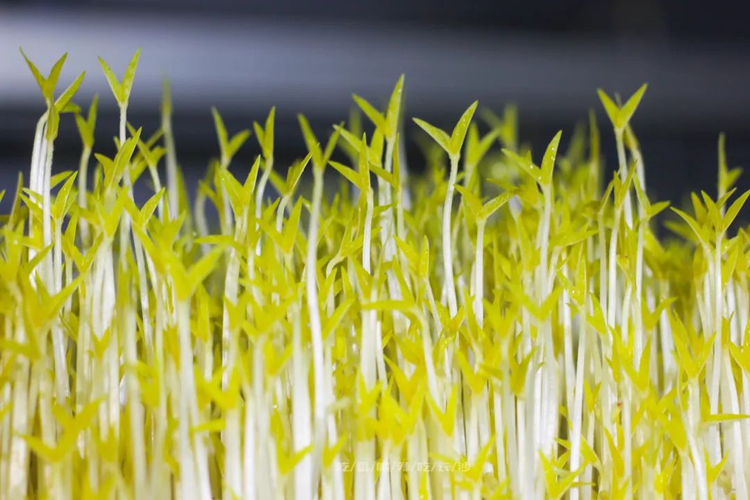 长沙攻略非热门,长沙旅游攻略免费存行李