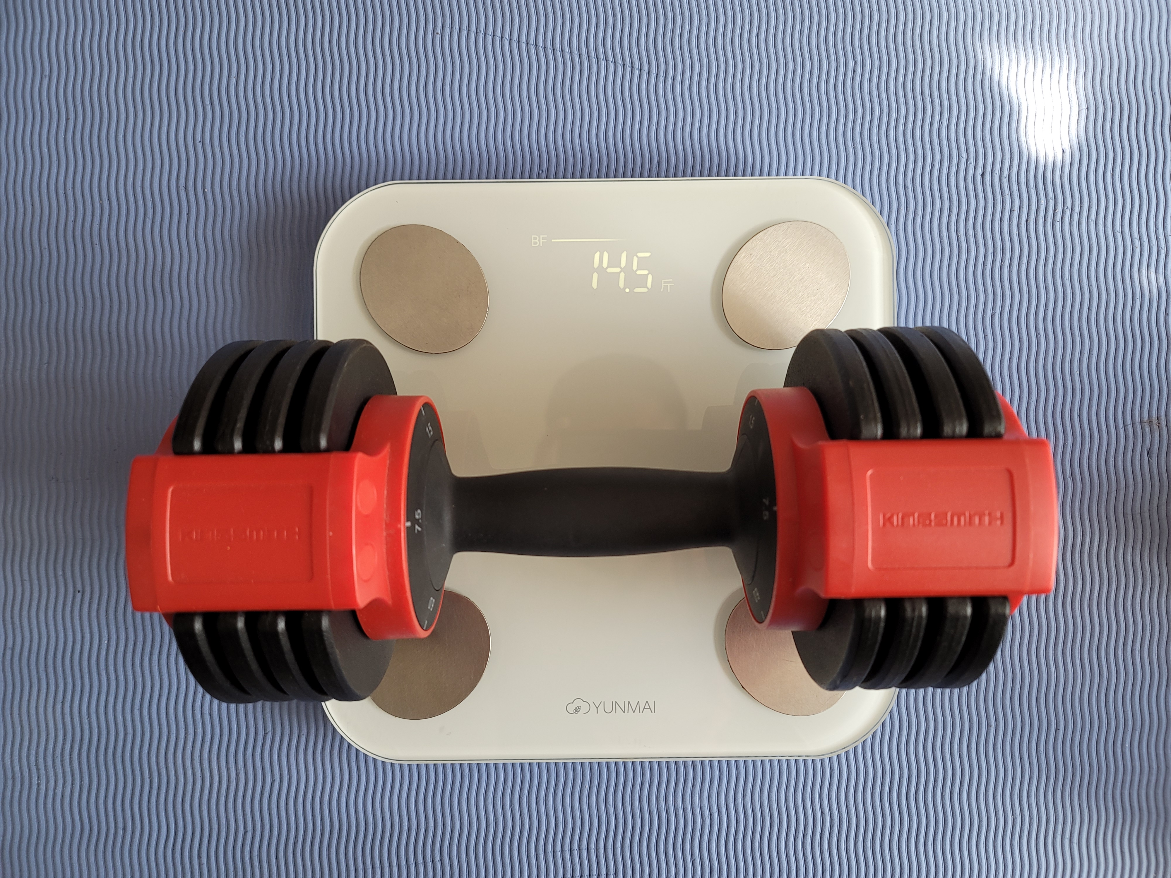 哑铃健身动作大全,健身装备分享哑铃