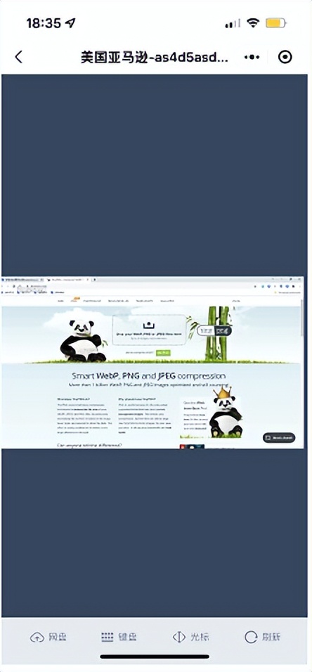 亚马逊店铺如何使用紫鸟浏览器,紫鸟注册亚马逊店铺