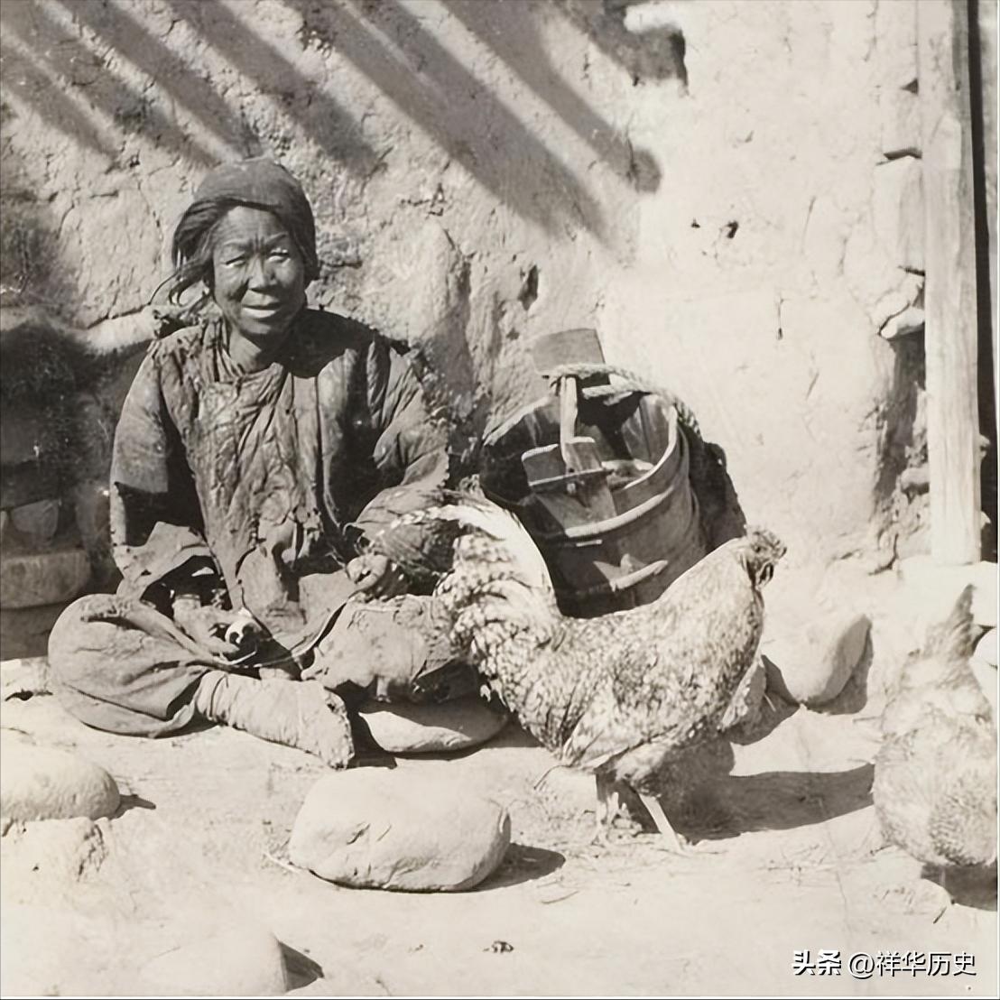 刘忠回故乡,刘忠寻亲