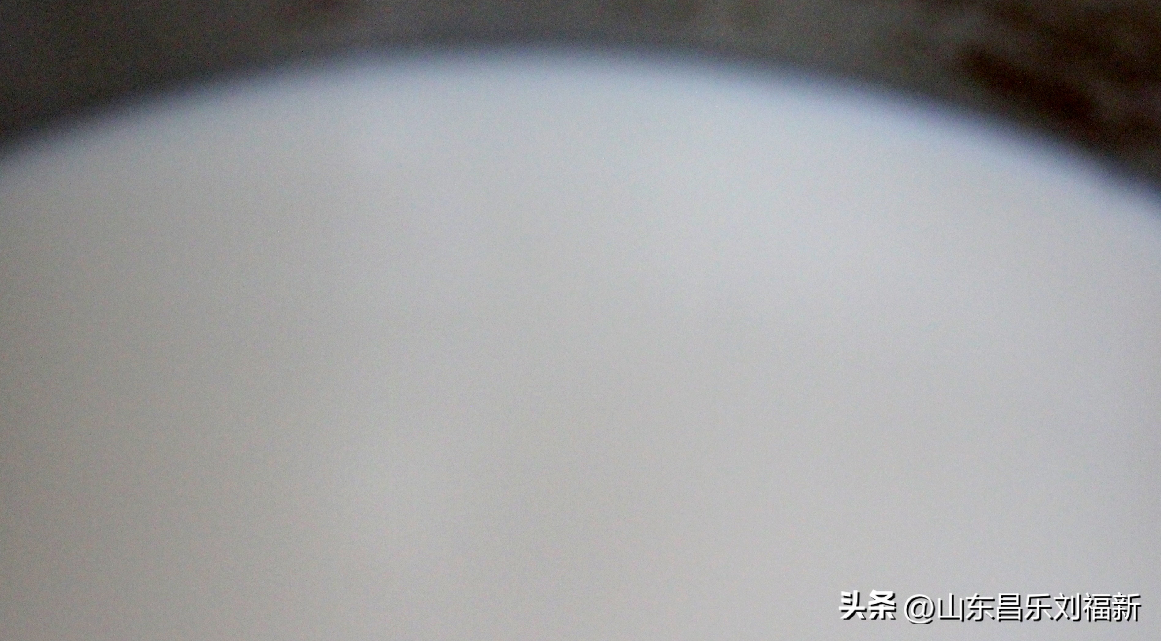 2023年3月中旬散拍·一点儿感受