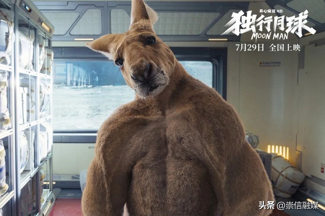独行月球袋鼠踢沈腾露肚子片段,独行月球沈腾被袋鼠踢飞露肚子