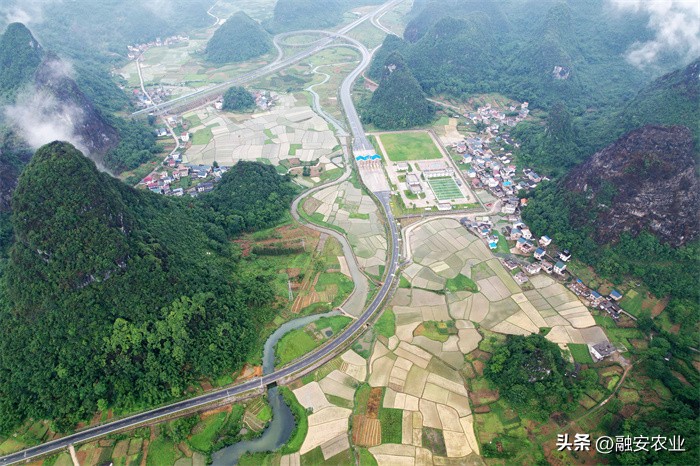 广西融安绘就美丽乡村画卷感想,融安泗顶田园航拍