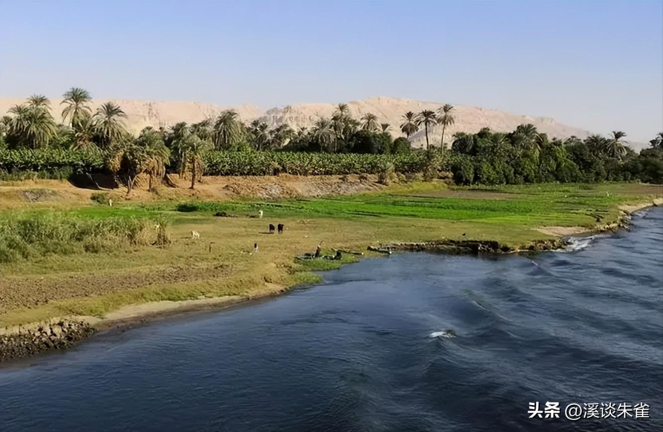 古埃及人都有什么饮食习惯,古代时候在古埃及吃的是什么食物