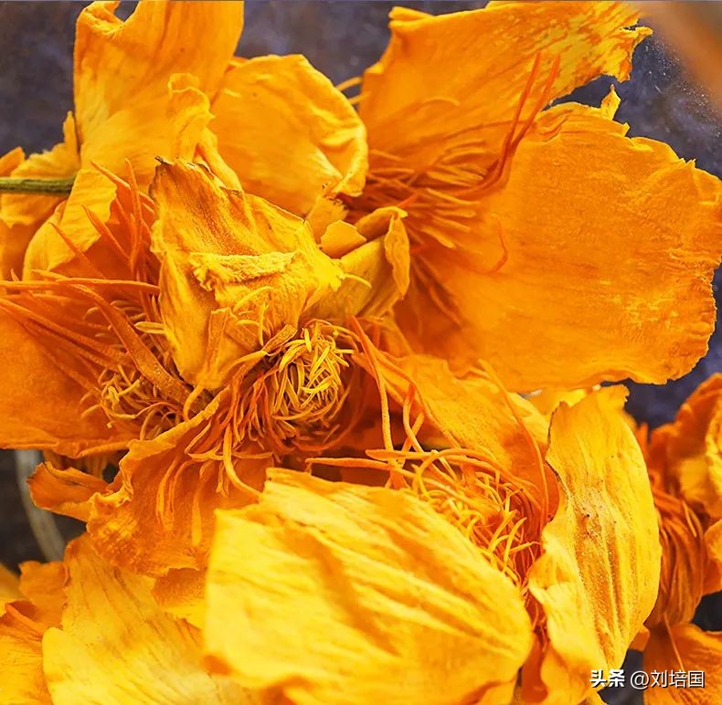 蒙特涮府，吃出锡林郭勒风