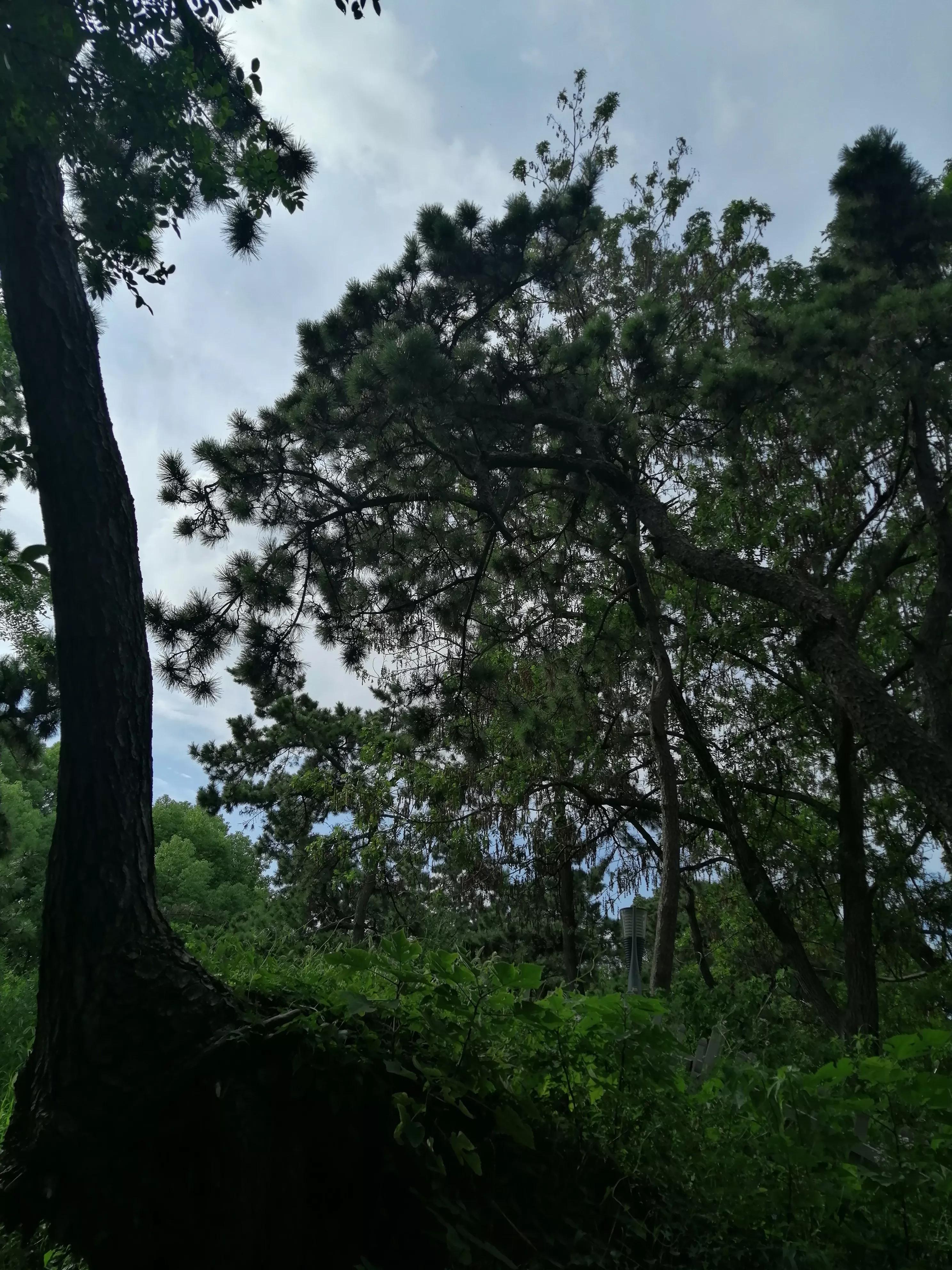 东园好玩的景点推荐,东园旅游景点推荐