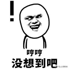 世界厕所日要做什么,世界厕所日