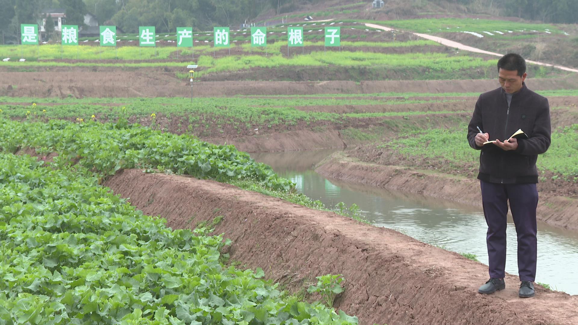 美国对华粮食援助,如果美国不出口粮食给中国会怎样