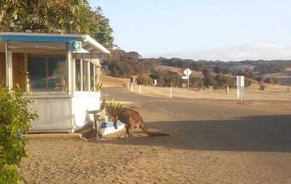 65岁阿姨离婚抑郁症后骑行世界,65岁阿姨离婚后抑郁骑行世界