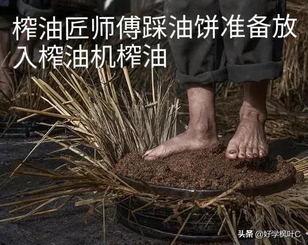 农村老头的脚丫子，远比超标添加剂、超标农药残留安全卫生得多