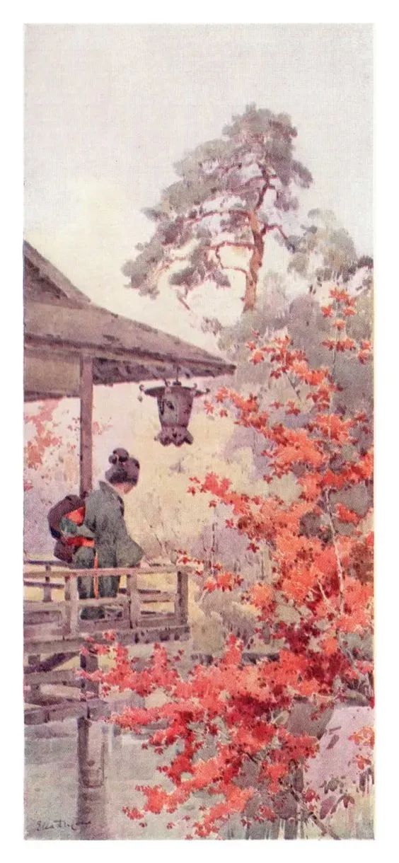 鑻卞浗鐢诲michael楂樻竻鍥剧墖浣滃搧,鑻卞浗姘村僵鐢诲elladucane缁樼敾浣滃搧