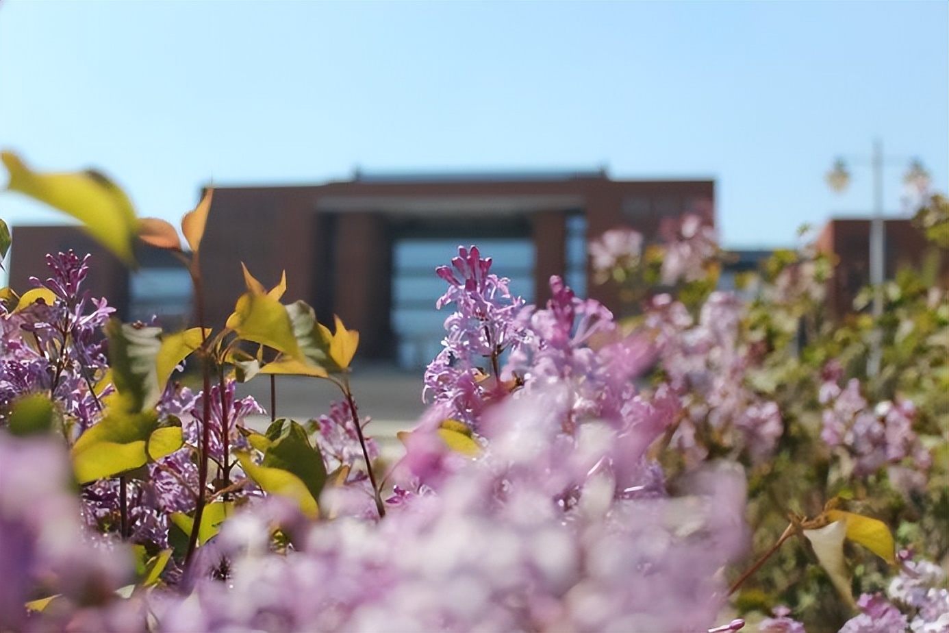 胎记化身“精灵”？大连理工学生团队开发“硬核APP”，拿下大奖，全球不足80项