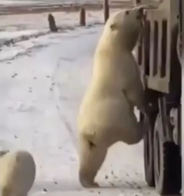 极端高温,灾难的开始…该如何拯救