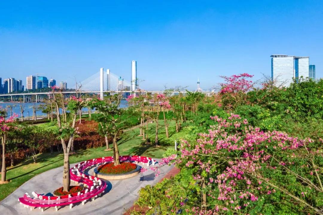 新岛民,新岛民海南生活