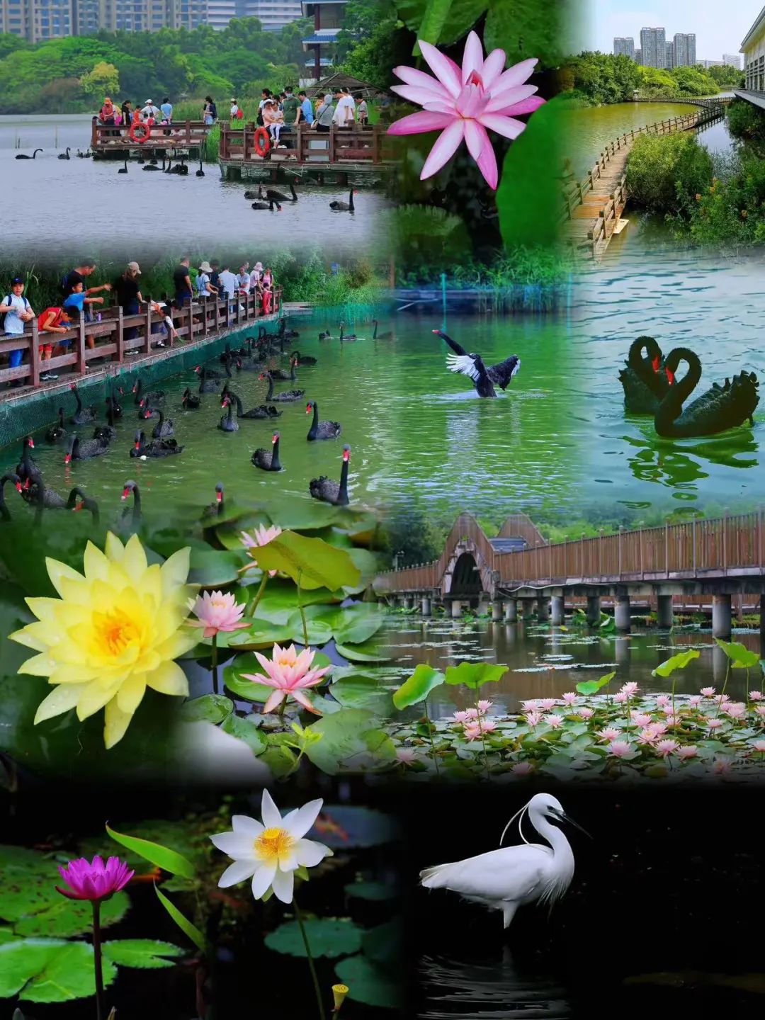 厦门最有特色的酒店,厦门最有体验感的酒店