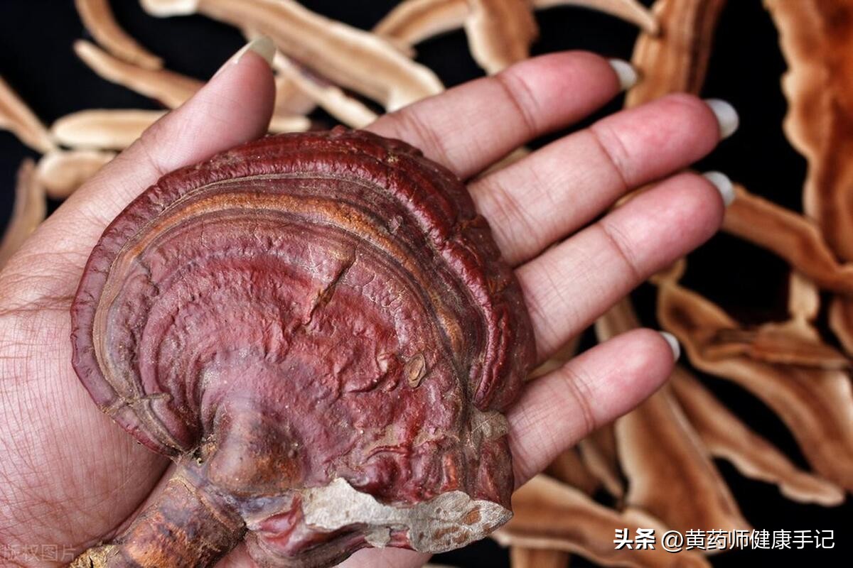 常用中药大全100种,肝脾常用中药汇总