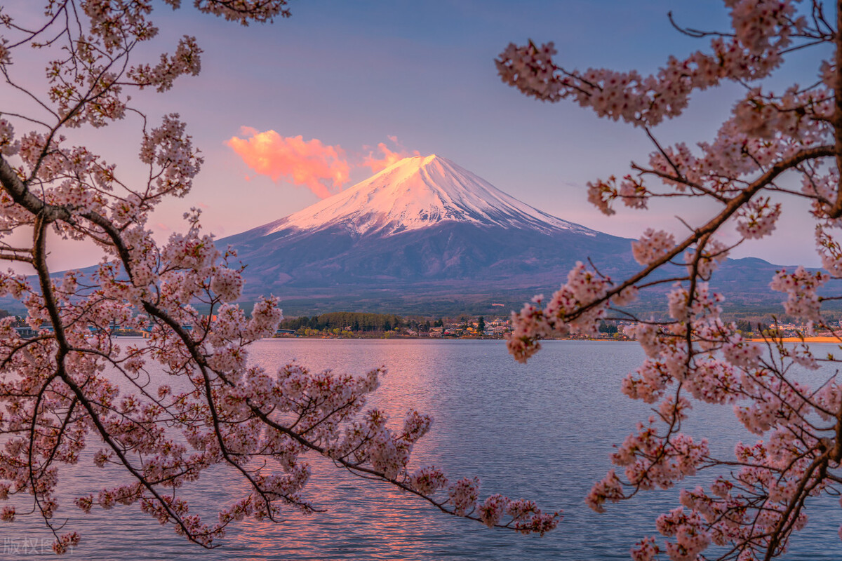 畅游日本自由行攻略视频,畅游日本好玩的地方