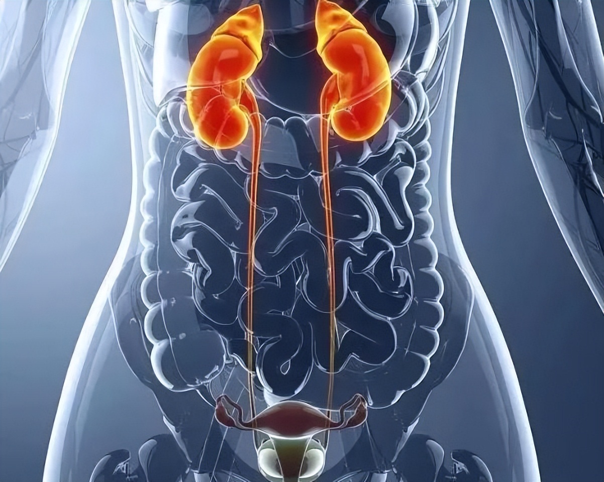 膀胱炎症会引发小便困难吗,膀胱炎引起小便疼