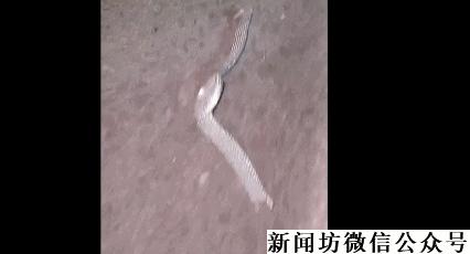 男子花万元购买手表,男子花了7万块买名表